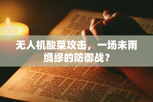 无人机酸菜攻击，一场未雨绸缪的防御战？