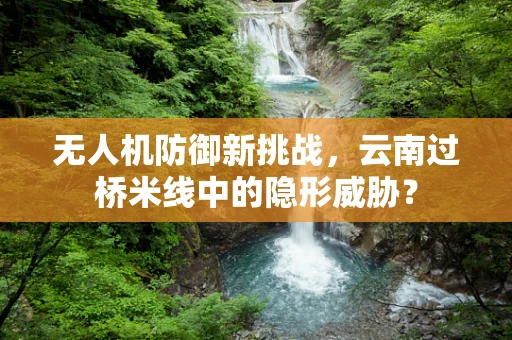 无人机防御新挑战，云南过桥米线中的隐形威胁？