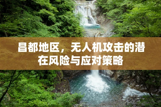 昌都地区，无人机攻击的潜在风险与应对策略