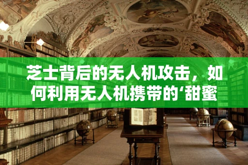 芝士背后的无人机攻击，如何利用无人机携带的‘甜蜜陷阱’进行侦察与干扰？