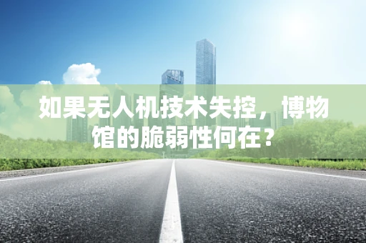如果无人机技术失控，博物馆的脆弱性何在？
