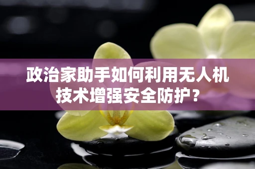 政治家助手如何利用无人机技术增强安全防护？