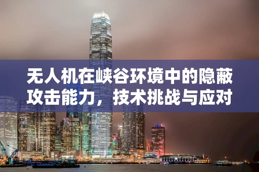 无人机在峡谷环境中的隐蔽攻击能力，技术挑战与应对策略