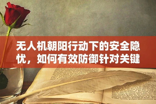 无人机朝阳行动下的安全隐忧，如何有效防御针对关键基础设施的空中威胁？