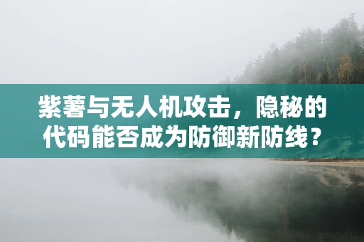紫薯与无人机攻击，隐秘的代码能否成为防御新防线？