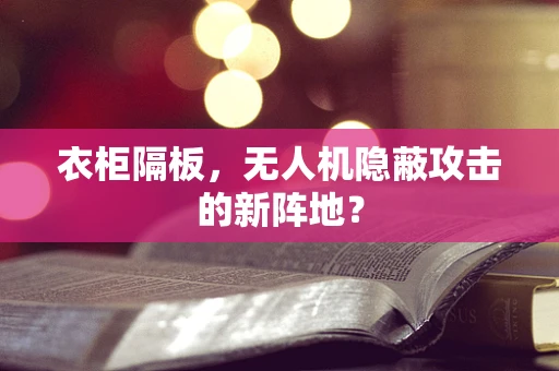 衣柜隔板，无人机隐蔽攻击的新阵地？