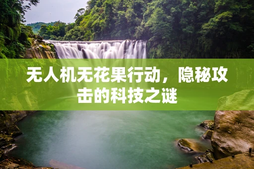 无人机无花果行动，隐秘攻击的科技之谜