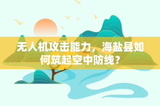 无人机攻击能力，海盐县如何筑起空中防线？