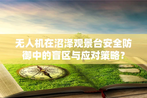 无人机在沼泽观景台安全防御中的盲区与应对策略？