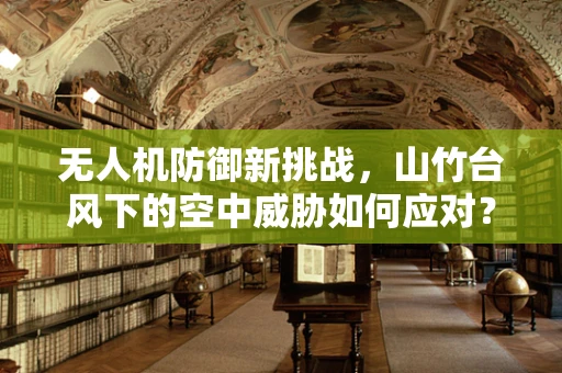 无人机防御新挑战，山竹台风下的空中威胁如何应对？