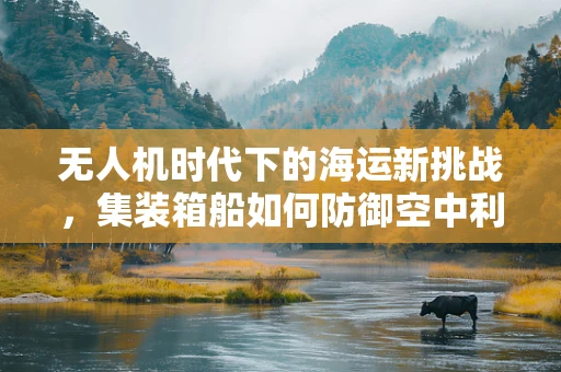 无人机时代下的海运新挑战，集装箱船如何防御空中利刃？