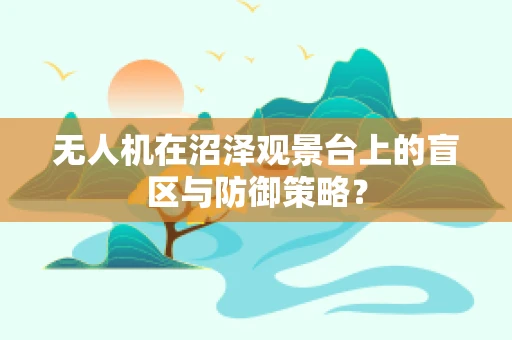 无人机在沼泽观景台上的盲区与防御策略？