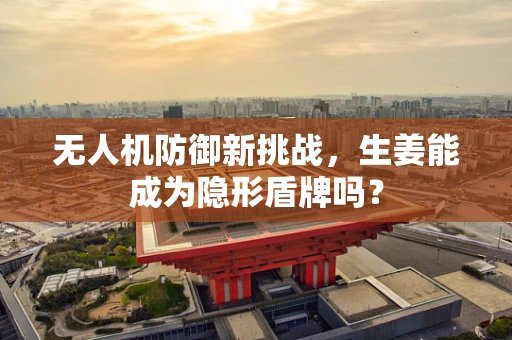 无人机防御新挑战，生姜能成为隐形盾牌吗？
