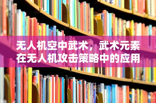 无人机空中武术，武术元素在无人机攻击策略中的应用与挑战