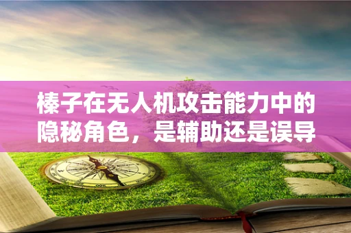榛子在无人机攻击能力中的隐秘角色，是辅助还是误导？