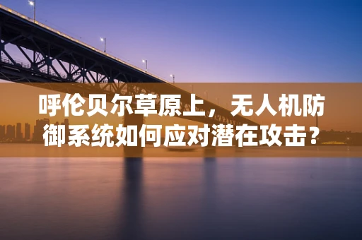 呼伦贝尔草原上，无人机防御系统如何应对潜在攻击？