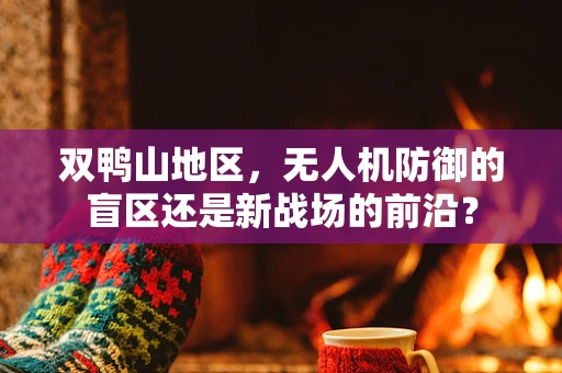 双鸭山地区，无人机防御的盲区还是新战场的前沿？