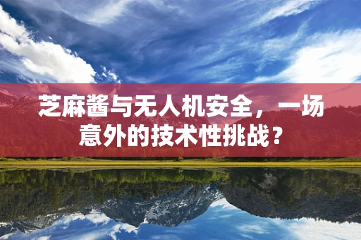 芝麻酱与无人机安全，一场意外的技术性挑战？