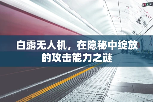 白露无人机，在隐秘中绽放的攻击能力之谜