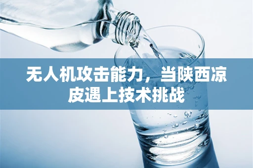 无人机攻击能力，当陕西凉皮遇上技术挑战