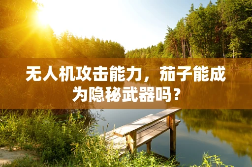 无人机攻击能力，茄子能成为隐秘武器吗？