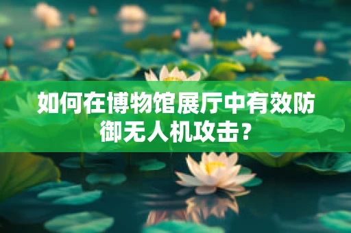 如何在博物馆展厅中有效防御无人机攻击？