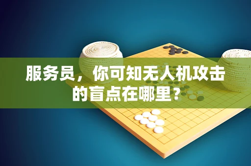 服务员，你可知无人机攻击的盲点在哪里？