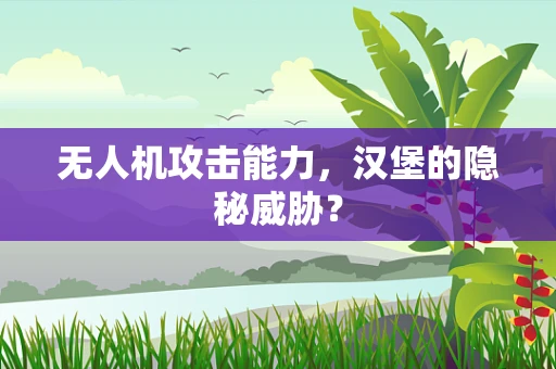 无人机攻击能力，汉堡的隐秘威胁？