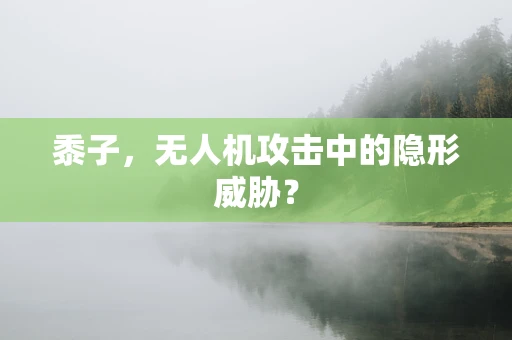 黍子，无人机攻击中的隐形威胁？