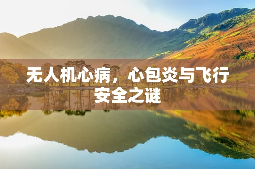 无人机心病，心包炎与飞行安全之谜