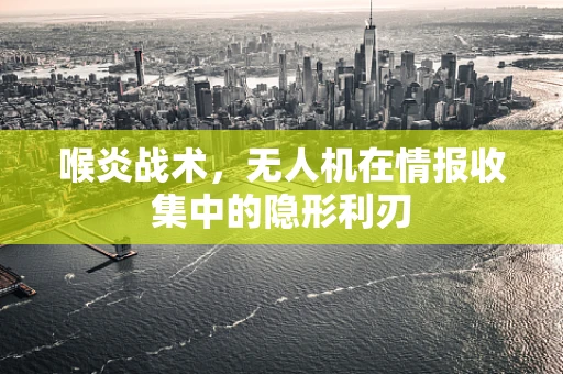 喉炎战术，无人机在情报收集中的隐形利刃