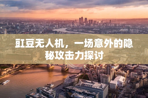 豇豆无人机，一场意外的隐秘攻击力探讨