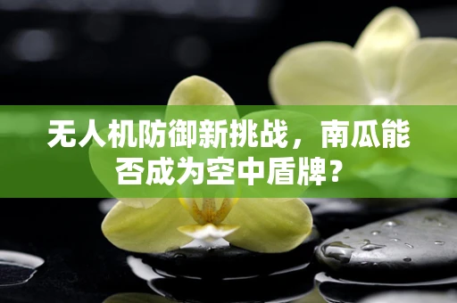 无人机防御新挑战，南瓜能否成为空中盾牌？