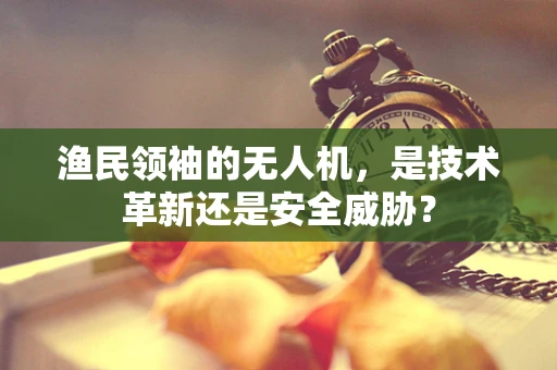 渔民领袖的无人机，是技术革新还是安全威胁？