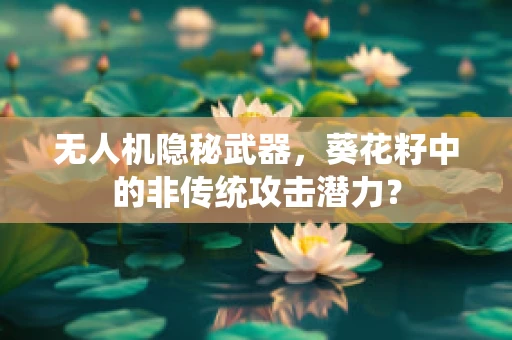 无人机隐秘武器，葵花籽中的非传统攻击潜力？