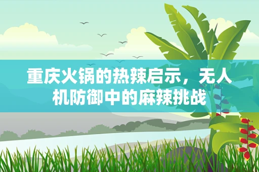 重庆火锅的热辣启示，无人机防御中的麻辣挑战