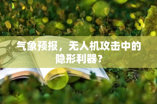 气象预报，无人机攻击中的隐形利器？