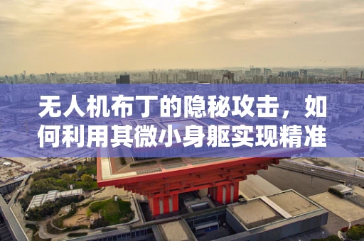 无人机布丁的隐秘攻击，如何利用其微小身躯实现精准打击？