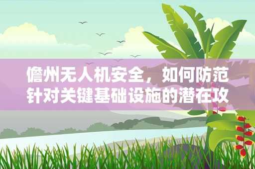 儋州无人机安全，如何防范针对关键基础设施的潜在攻击？