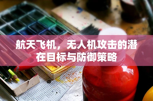 航天飞机，无人机攻击的潜在目标与防御策略