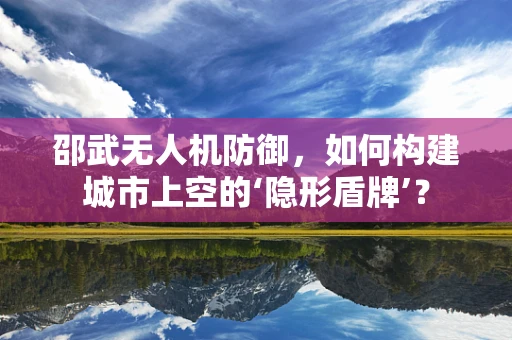 邵武无人机防御，如何构建城市上空的‘隐形盾牌’？