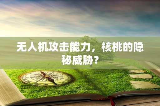 无人机攻击能力，核桃的隐秘威胁？