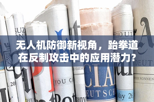 无人机防御新视角，跆拳道在反制攻击中的应用潜力？