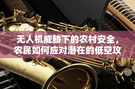 无人机威胁下的农村安全，农民如何应对潜在的低空攻击？