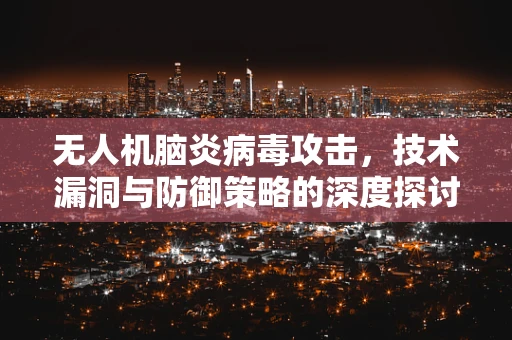 无人机脑炎病毒攻击，技术漏洞与防御策略的深度探讨