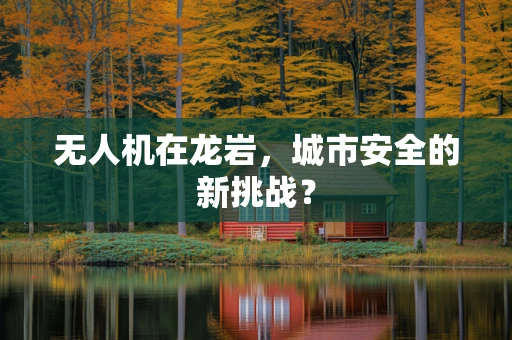 无人机在龙岩，城市安全的新挑战？