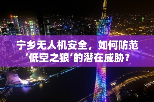 宁乡无人机安全，如何防范‘低空之狼’的潜在威胁？