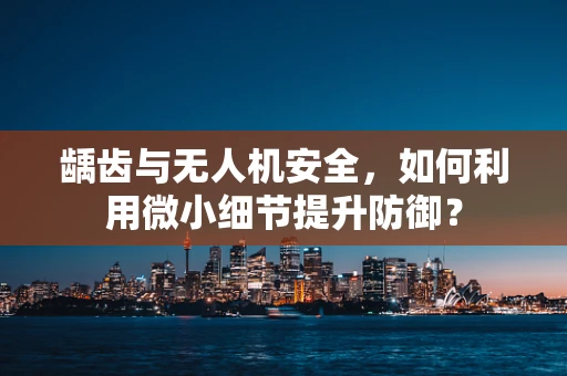 龋齿与无人机安全，如何利用微小细节提升防御？