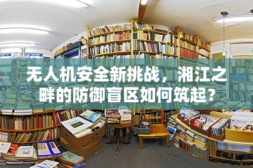 无人机安全新挑战，湘江之畔的防御盲区如何筑起？