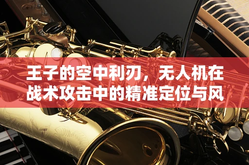 王子的空中利刃，无人机在战术攻击中的精准定位与风险控制